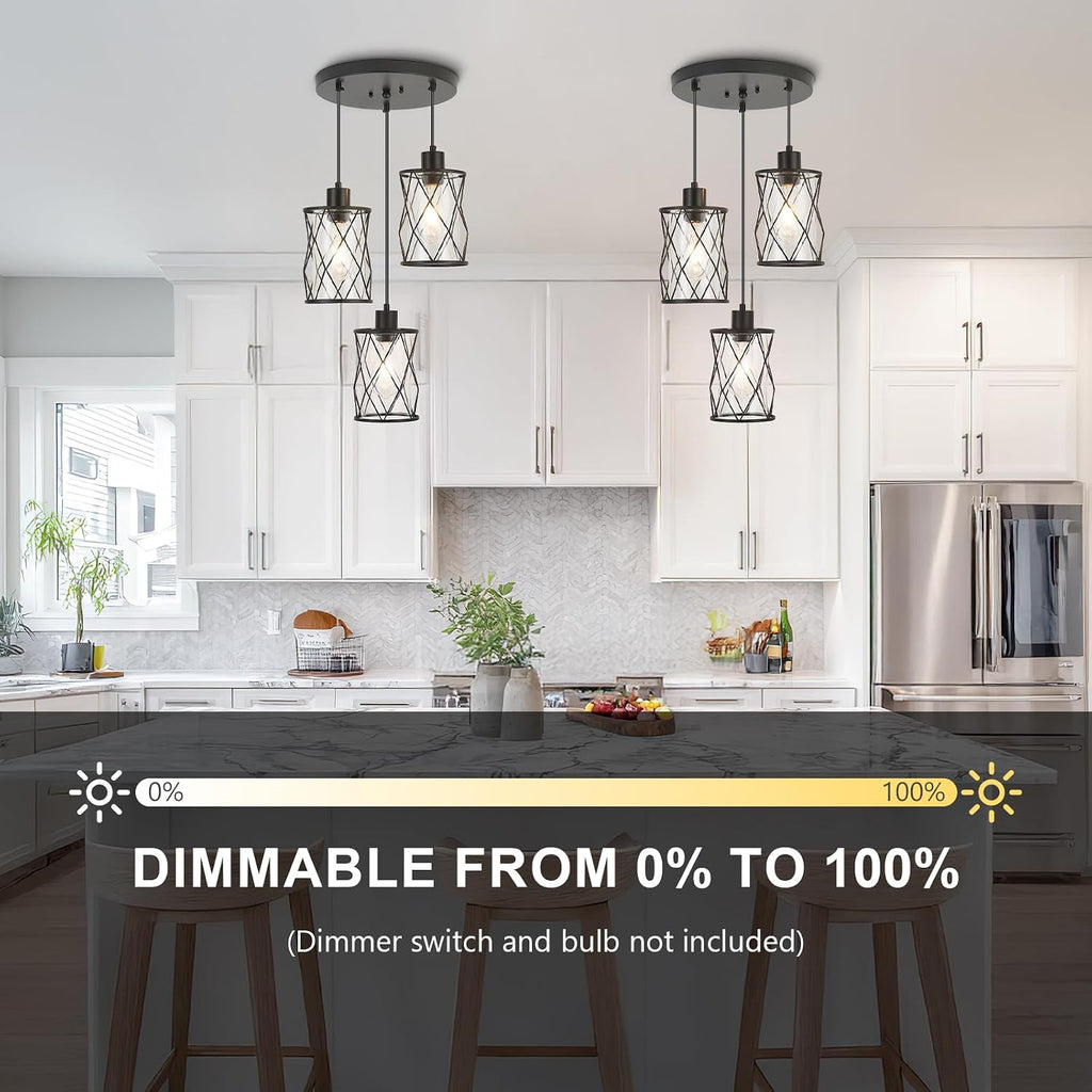 Black Glass Cage Cluster Pendant Light